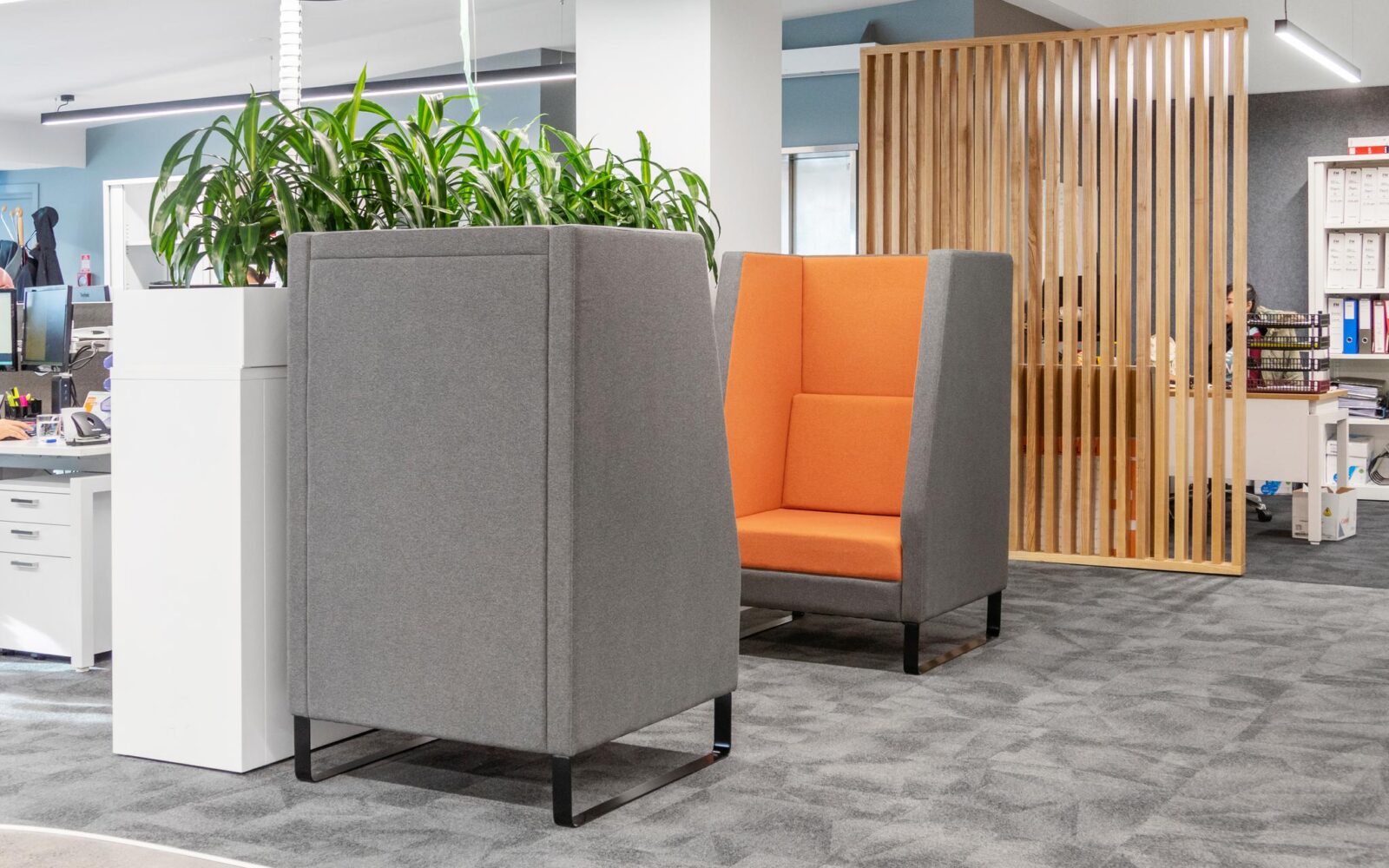 radius care large